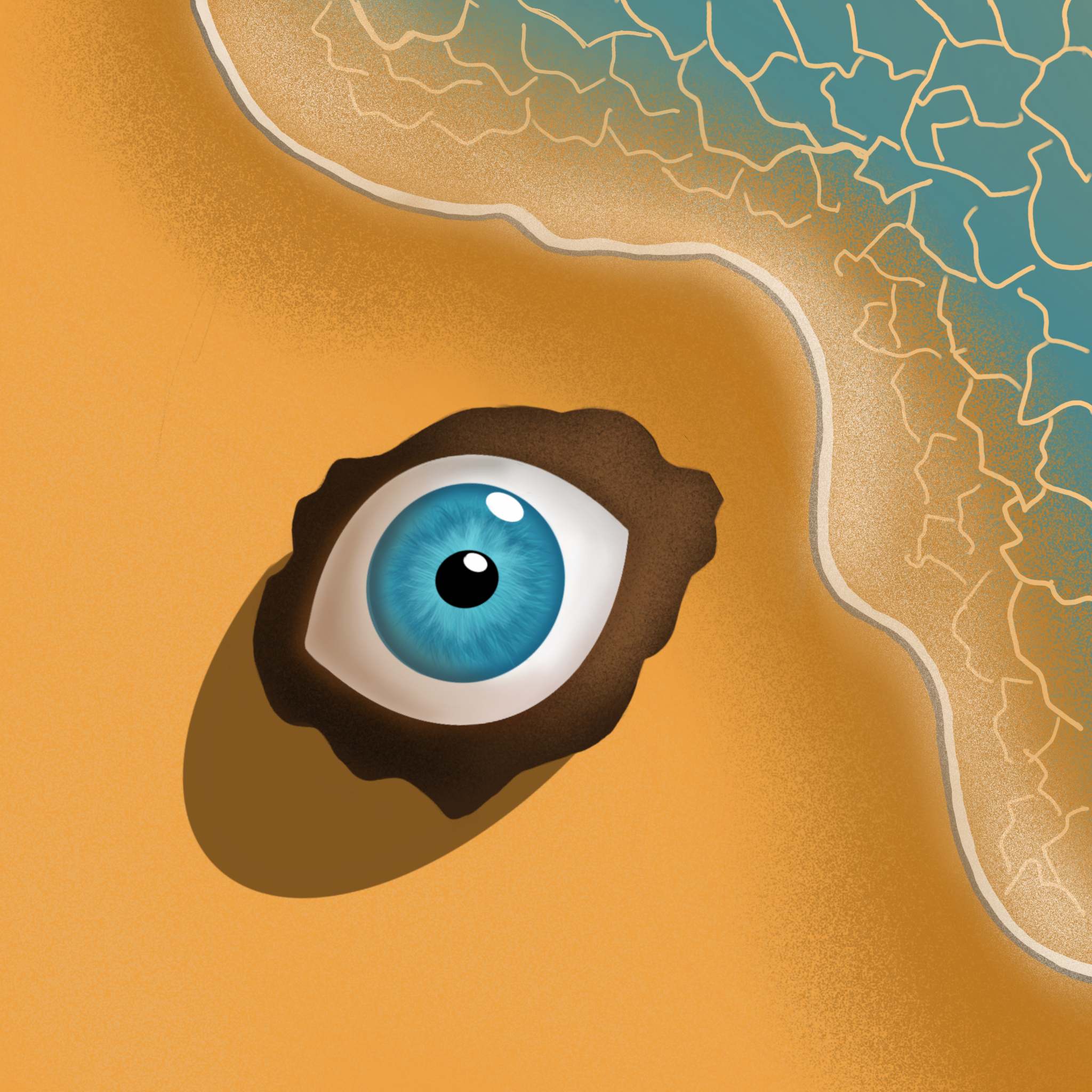 The Seer